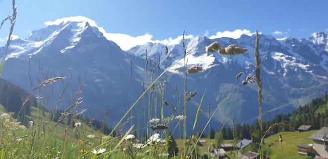 Sonnenberg Dormitories Mürren Exterior foto